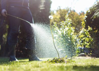 Ретарданты: что это и как применять