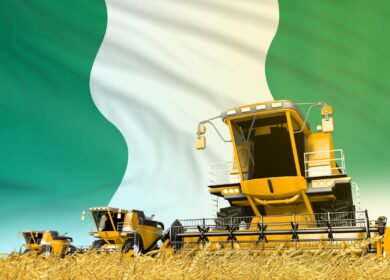 OCP Group поможет проблемным землям в Нигерии