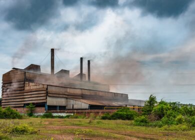 Coromandel начал продвижение нового бренда