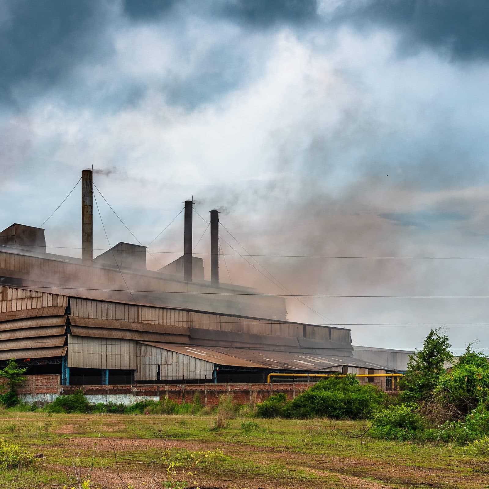 Coromandel начал продвижение нового бренда