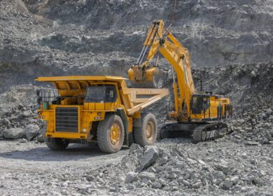 В СЗФК сделано интересное открытие