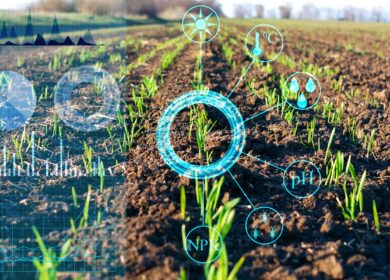 Syngenta запускает глобальную цифровую платформу