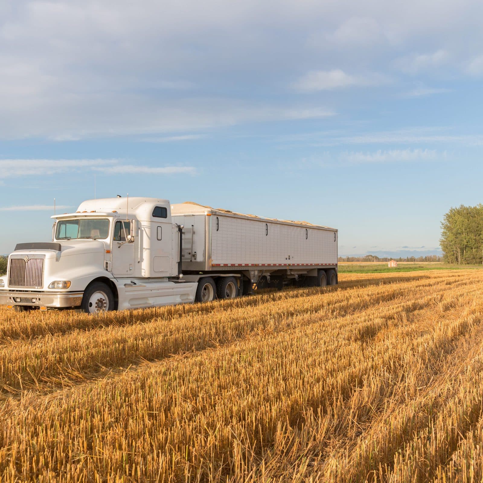 Cargill углубляется в розничную торговлю