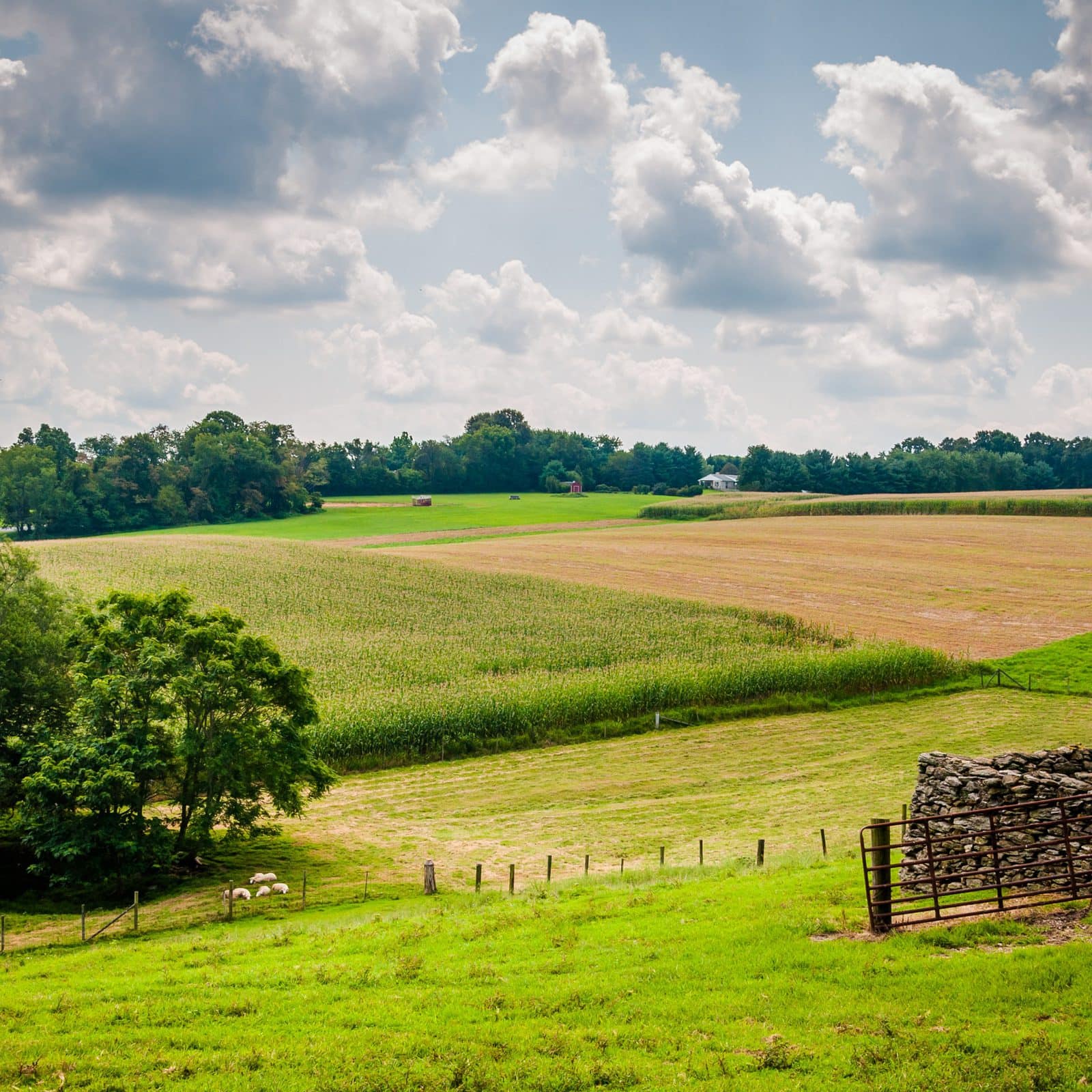 «Сибагро» расширяет земельный банк