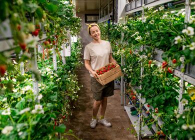 Plenty заявила о новом проекте