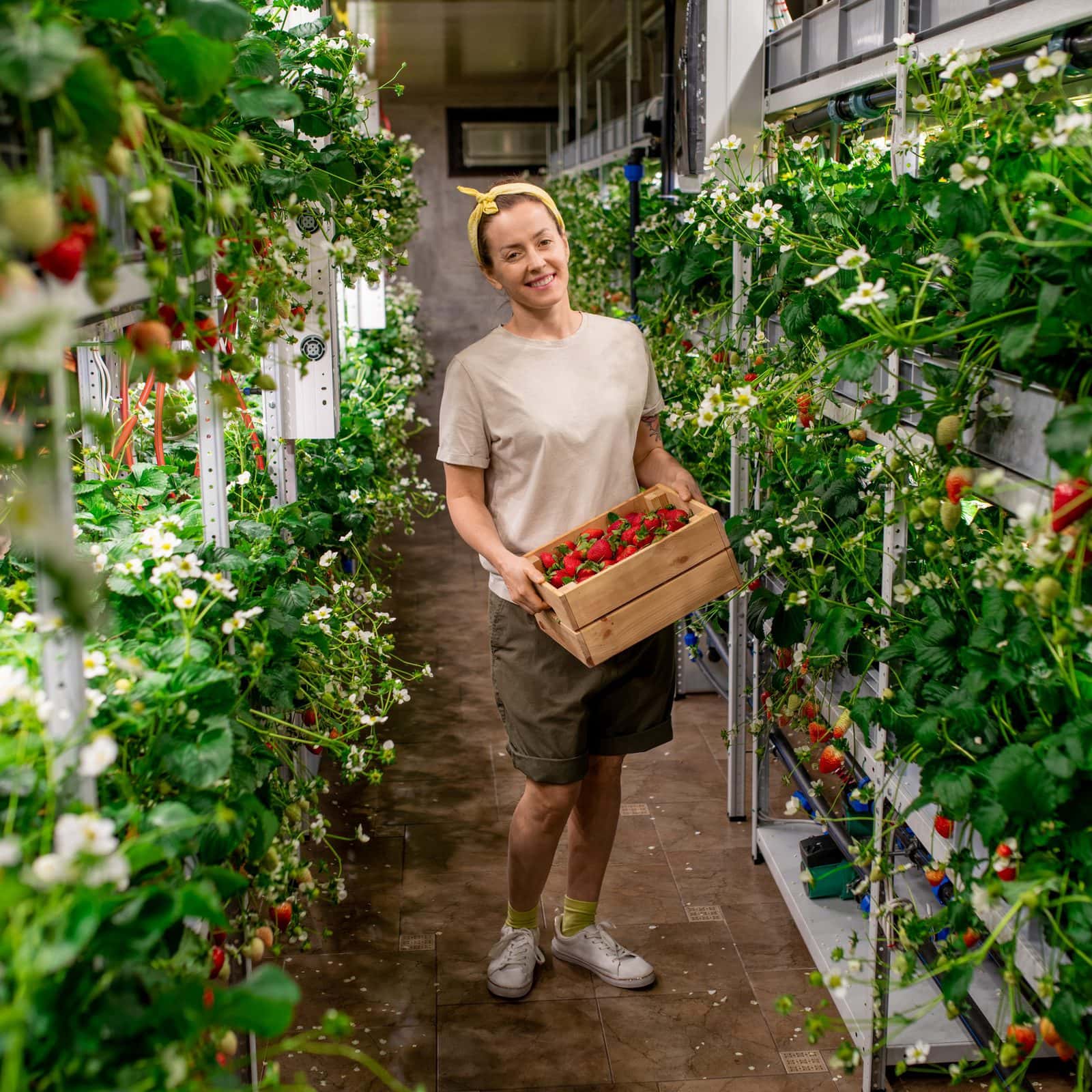 Plenty заявила о новом проекте