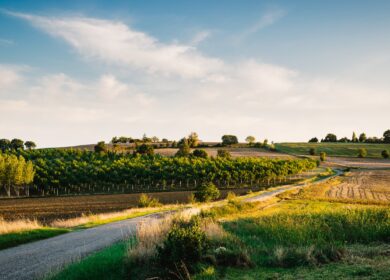 Французские фермеры раздражены новым налогом