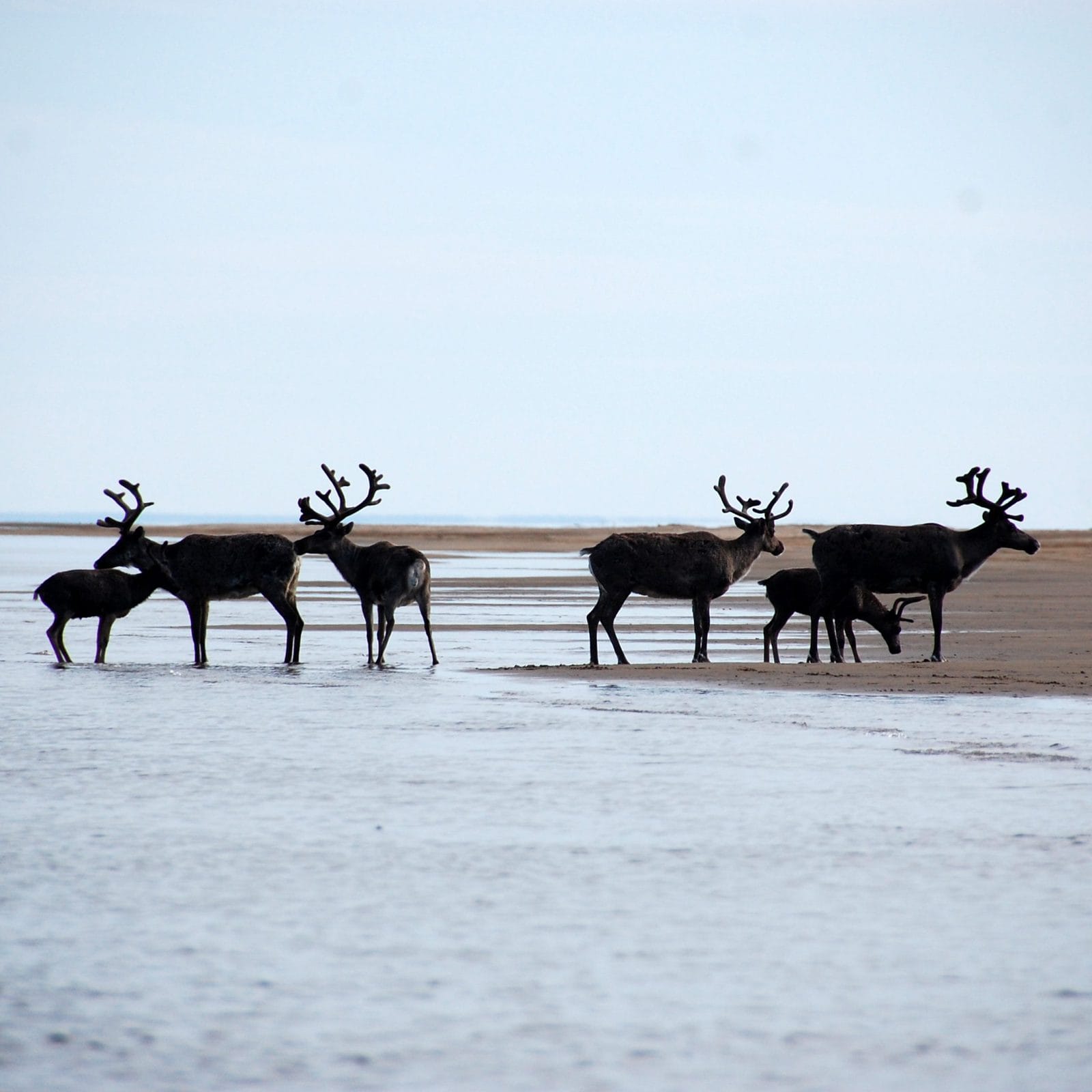 На Чукотке построят два тепличных комплекса
