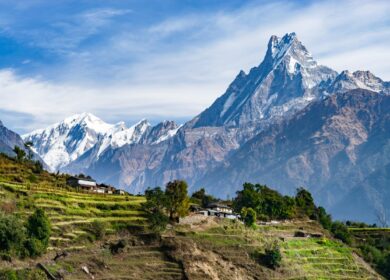 В Непале наказали недобросовестных поставщиков