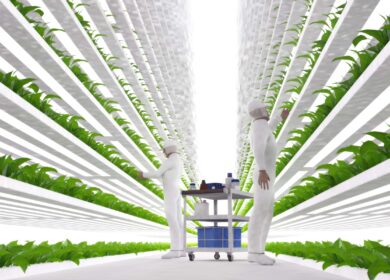 На вертикальной ферме произвели растительные экстракты