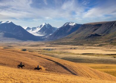 Внесение удобрений в Казахстане расширится на 3,3%