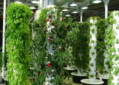 Американский стартап нашел инвесторов