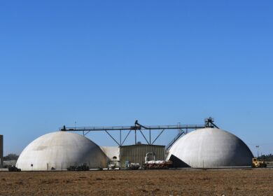 Yara нашла партнера для аммиачных идей