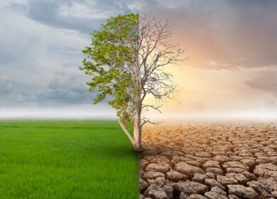 Yara решила заработать на изменении климата