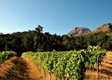 В Зимбабве поддержат производителей агрохимикатов