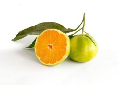 В США упростили выявление опасного патогена