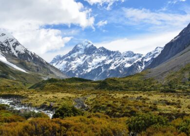 Скандал в Беларуси докатился до Новой Зеландии