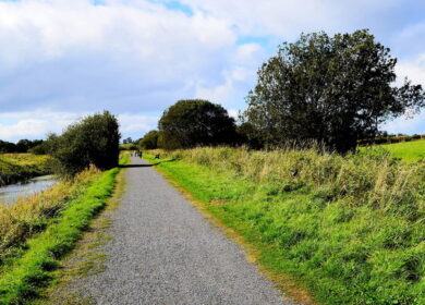 Ученые нашли способ очистки воды от нитратов
