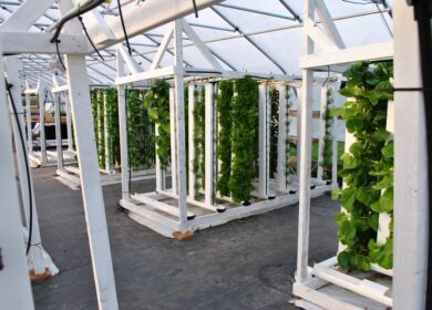 В США построят две вертикальные фермы