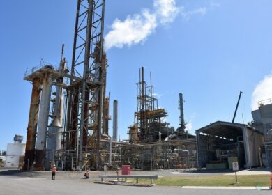 Deepak Fertilisers and Petrochemicals построит новый завод