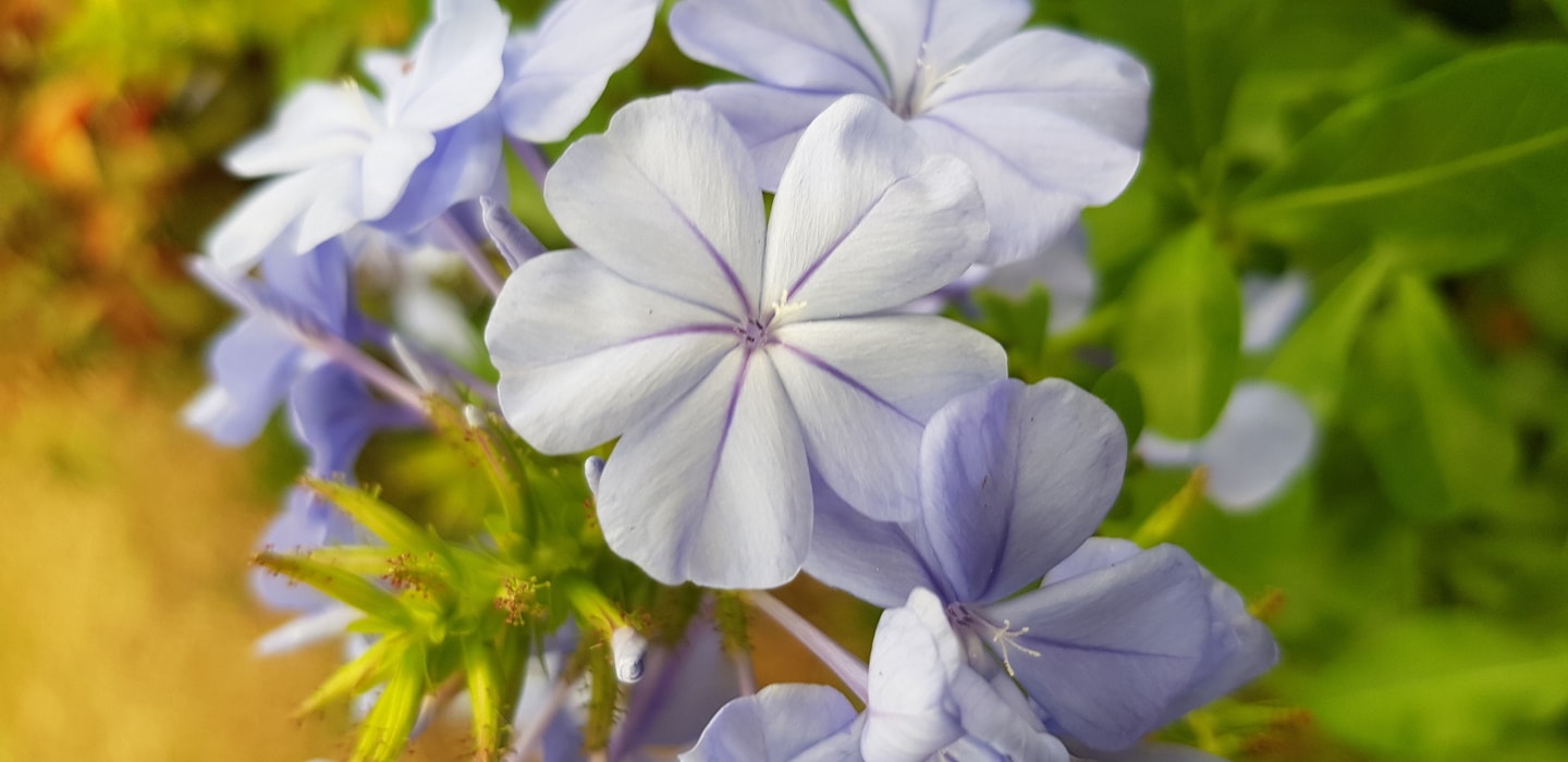 Удмуртия заняла первое место в России по посевам льна