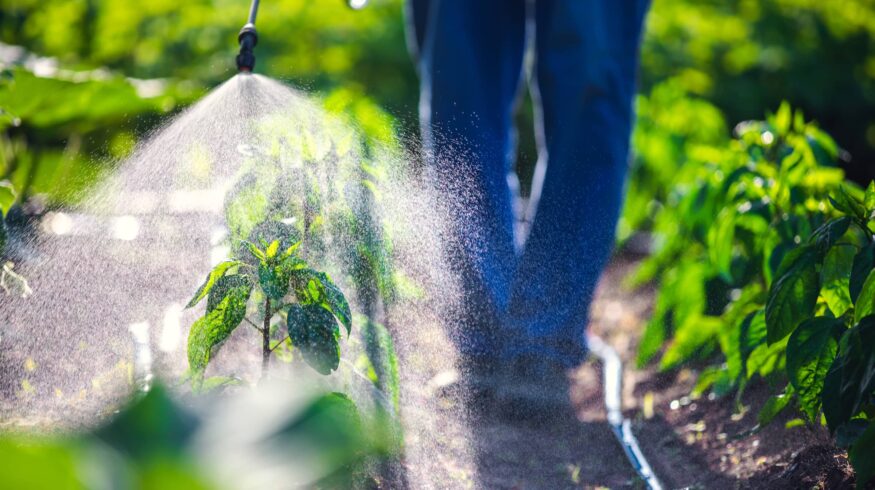 Vive Crop Protection выводит на рынок новый фунгицид