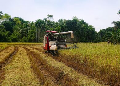На Шри-Ланке может разразиться агрохимическая катастрофа