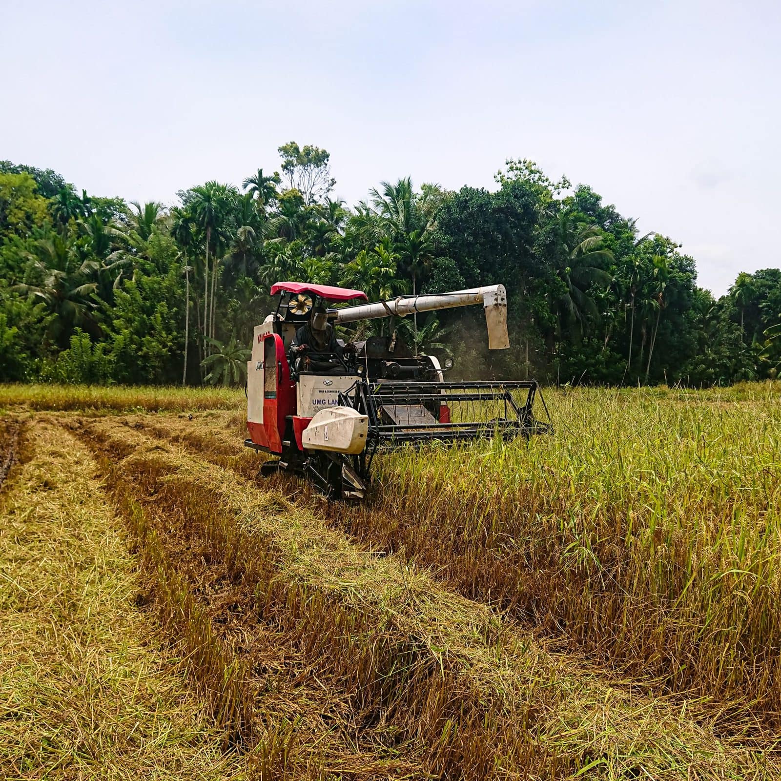 На Шри-Ланке может разразиться агрохимическая катастрофа