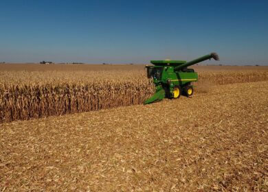 В аграрном секторе России наметился спад