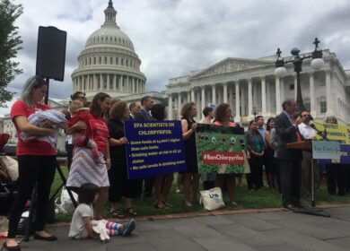 На Corteva Agriscience подали в суд