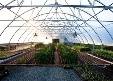 В США усовершенствуют освещение для городских теплиц