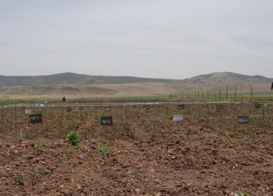 Фермеры США получили калькулятор жидких удобрений