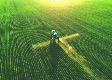 Compass Minerals распродает саму себя