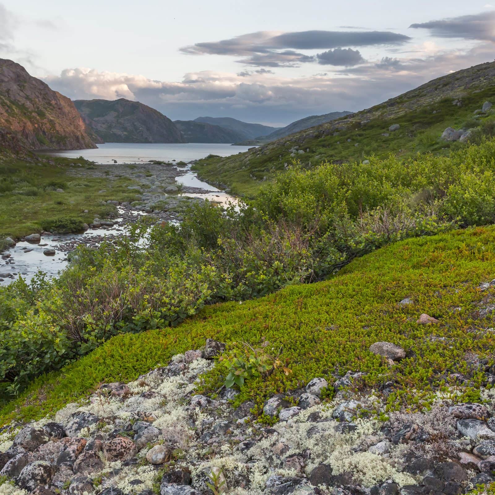 Ученые придумали, как вернуть плодородие почвам Арктики