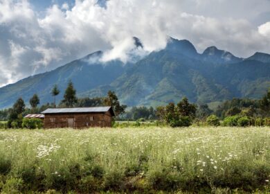 Kore Potash нашла инвесторов для Kola