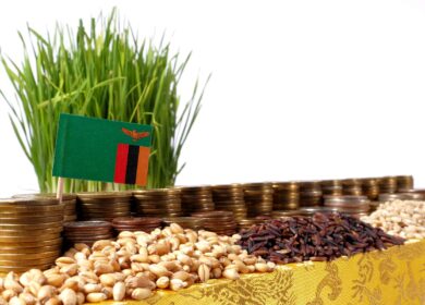 В Замбии провели интересные опыты с фосфоритами