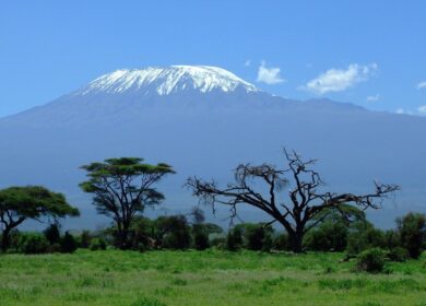 В Кении разрастается скандал из-за импорта агрохимикатов