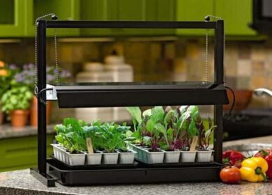 Подсветка рассады в домашних условиях