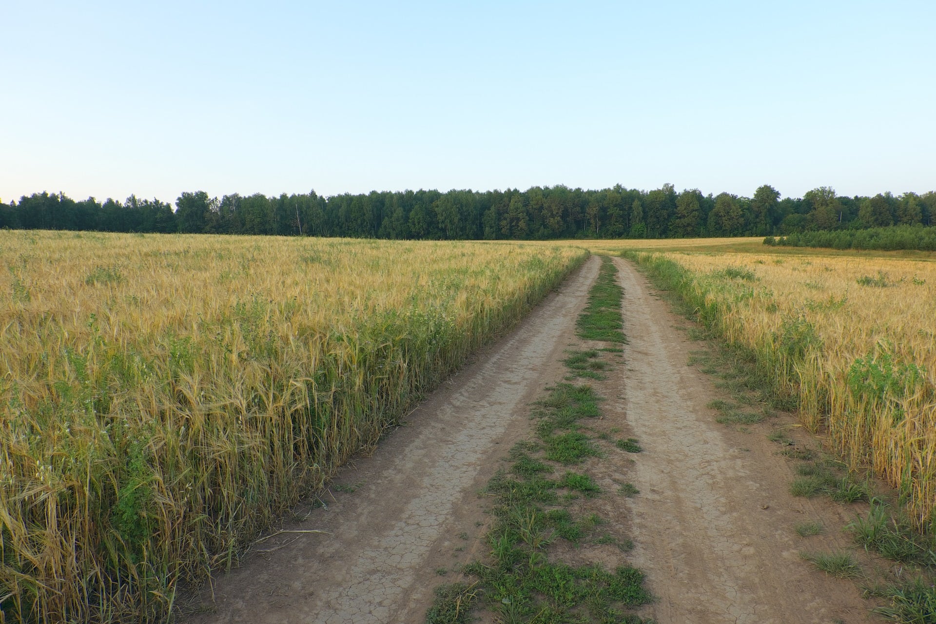 «ФосАгро-Регион» откроет новый дистрибьюторский центр в Татарстане