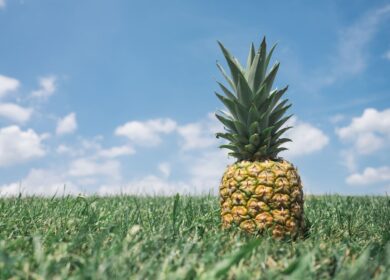 Haifa Group укрепится в точном земледелии