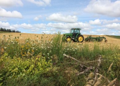 SusGlobal Energy трансформирует завод