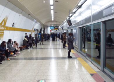 В метро Сеула заработала вертикальная ферма
