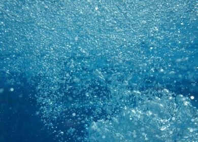 Агрохимикаты с нанопузырьками выпустят на рынок