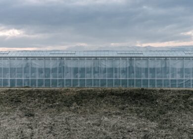 «ТюменьАгро» будет расширяться