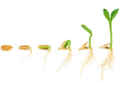 В США обнаружена удивительная закономерность