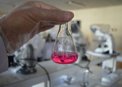 В Сингапуре оптимизировали электрокатализ карбамида