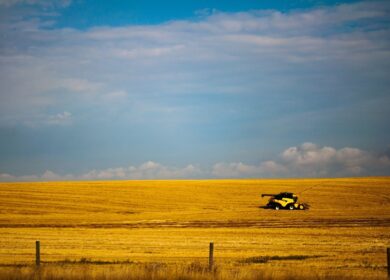 В Канаде построят завод медленно растворимых удобрений