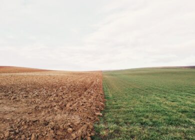 В Чувашии наращиваются закупки агрохимикатов