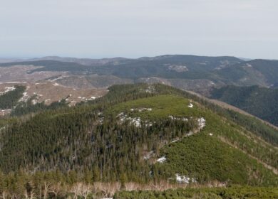 На Дальнем Востоке может появиться аммиачный центр