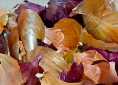 Луковая шелуха как удобрение для садовых и комнатных растений